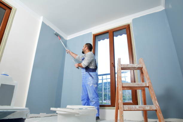 Best Attic Mold Removal  in Georgetown, CT
