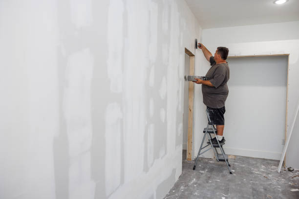 Reliable Georgetown, CT Mold Removal Solutions