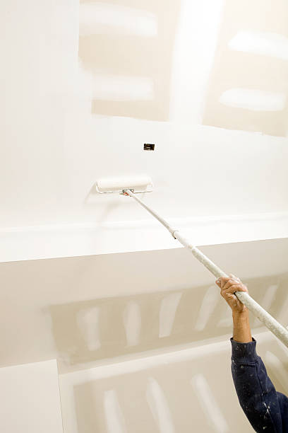 Best Black Mold Removal  in Georgetown, CT