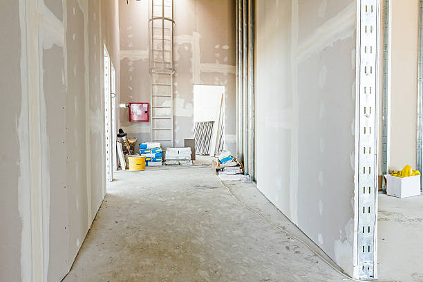 Best Biohazard Mold Removal  in Georgetown, CT